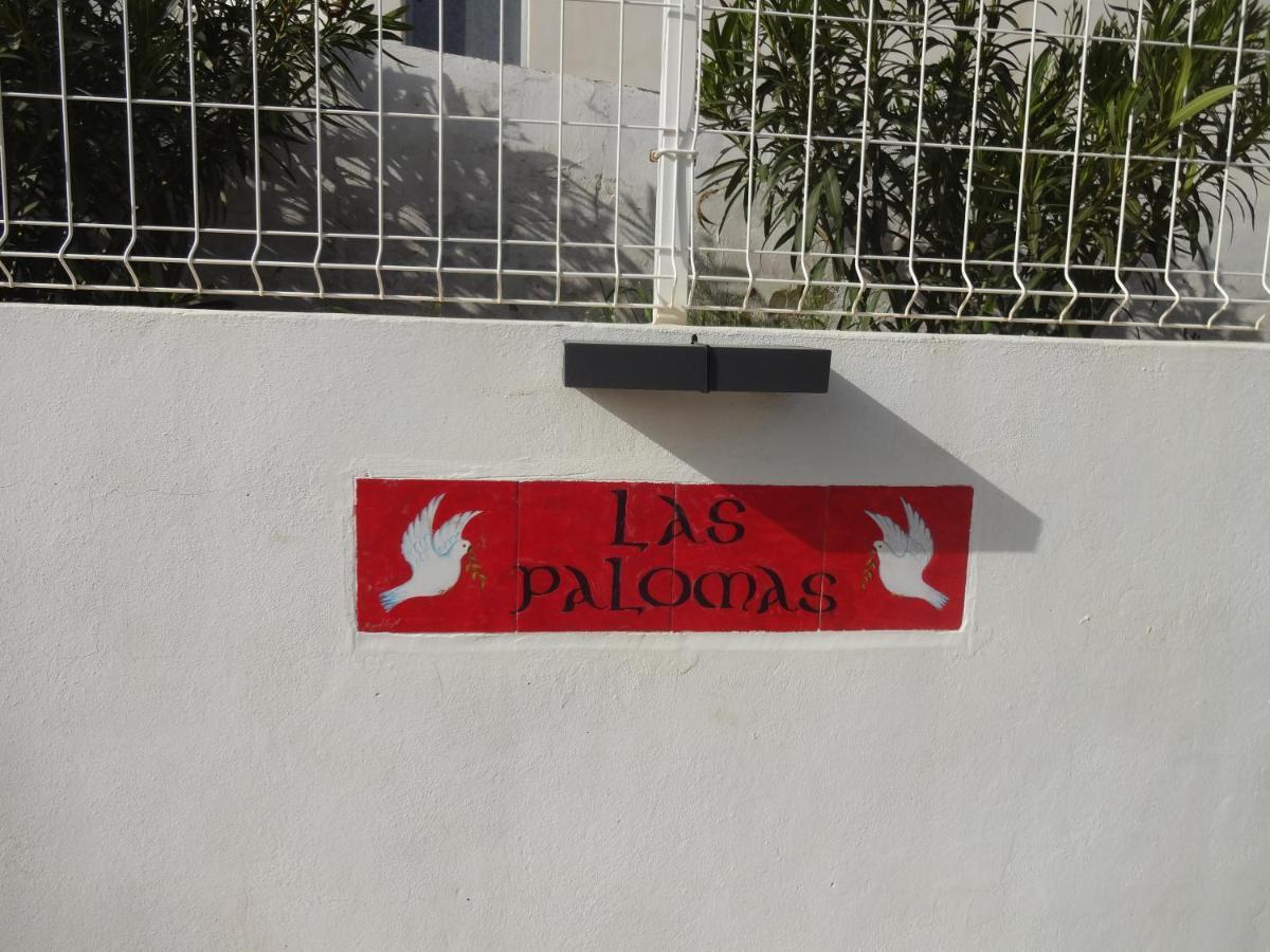Las Palomas, Appartement 3 Chambres Avec Piscine Turis Luaran gambar
